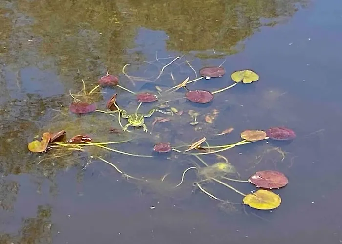 Auszeit Inmitten Der Natur - Its A Kind Of Magic Daire