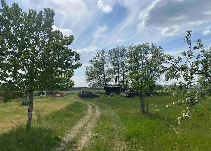 Daire Auszeit Inmitten Der Natur - Its A Kind Of Magic