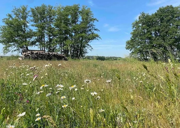 Auszeit Inmitten Der Natur - Its A Kind Of Magic Daire *